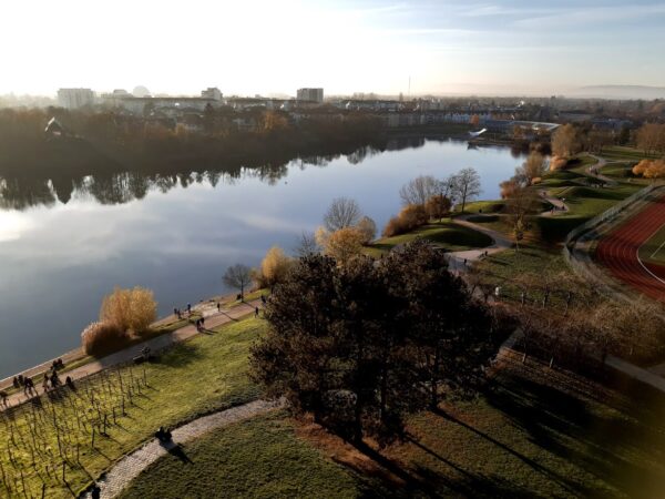 Flückigersee im Freiburger Seepark