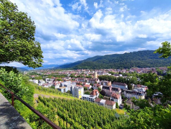 Wer eine Wohnung in Freiburg finden möchte, braucht gute Nerven.