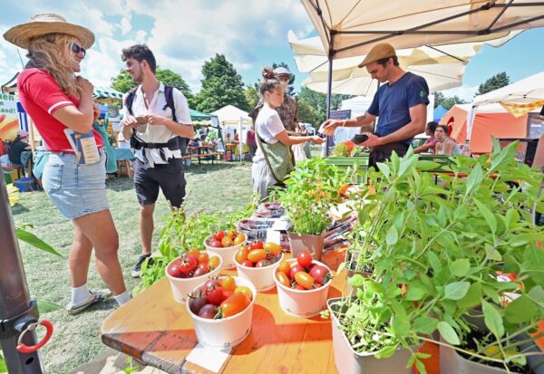 Im vergangenen Jahr lockte das Festival im Eschholzpark rund 7.000 Besucher an.