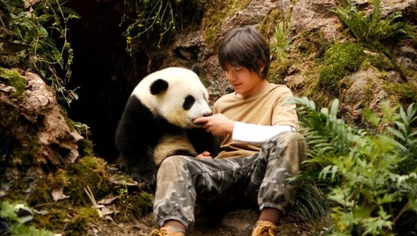 Tian entdeckt auf seinen Streifzügen durch die Wälder ein verlassenes Pandababy. Foto: Weltkino Filmverleih