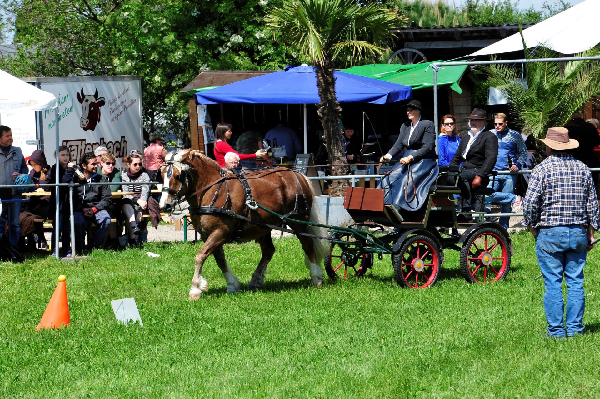 Reitertag des Reitclub 99 Mundenhof