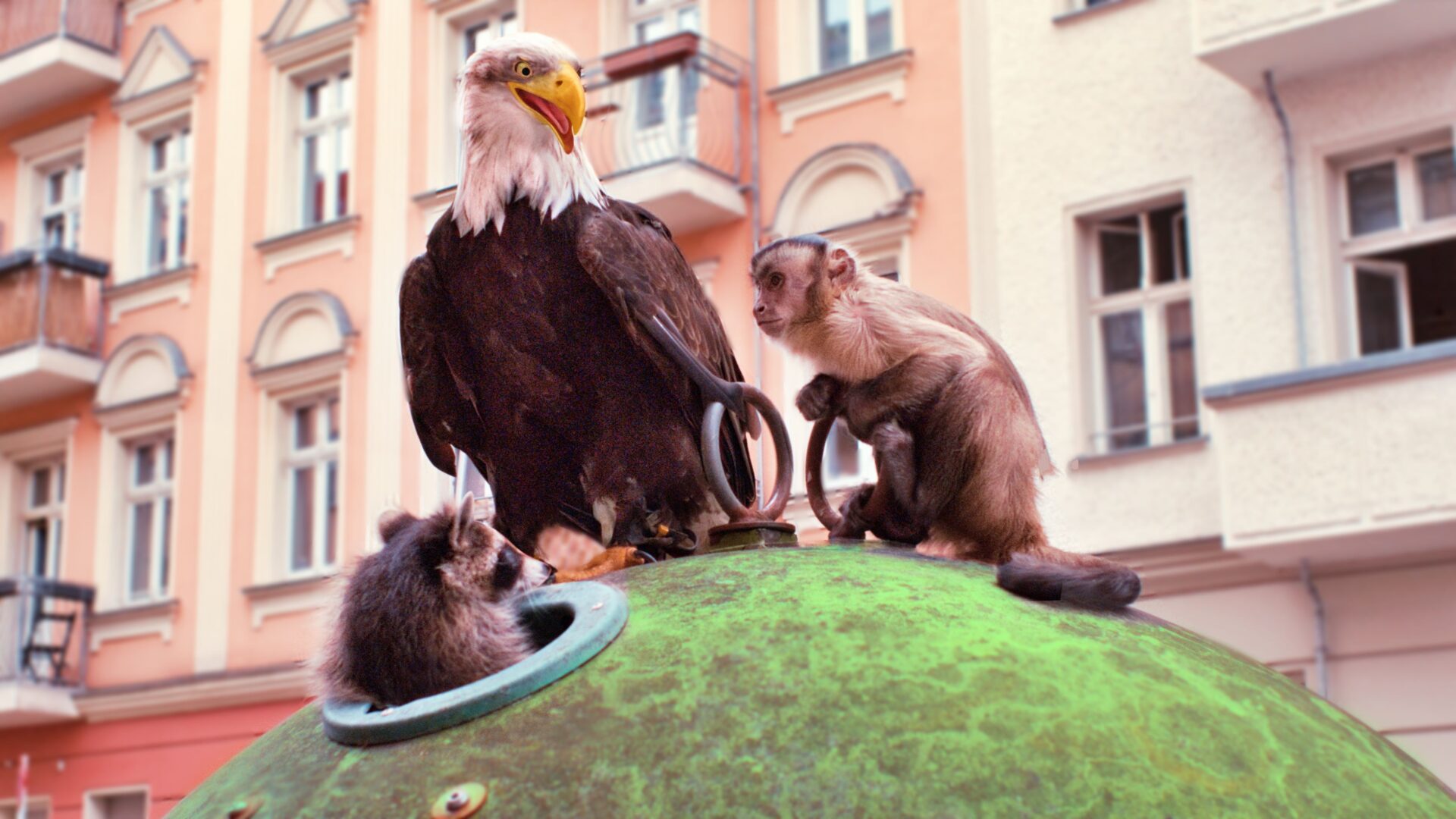 Affe Akiko und seine Freunde begeben sich auf eine große Mission. Foto: Veit Helmer Filmproduktion/Farbfilm Verleih