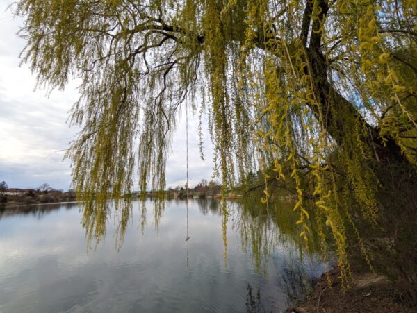 Freiburger Seepark