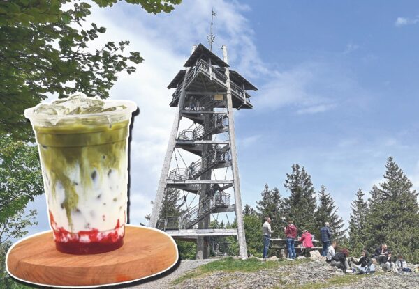 Matcha Wald Sommer
