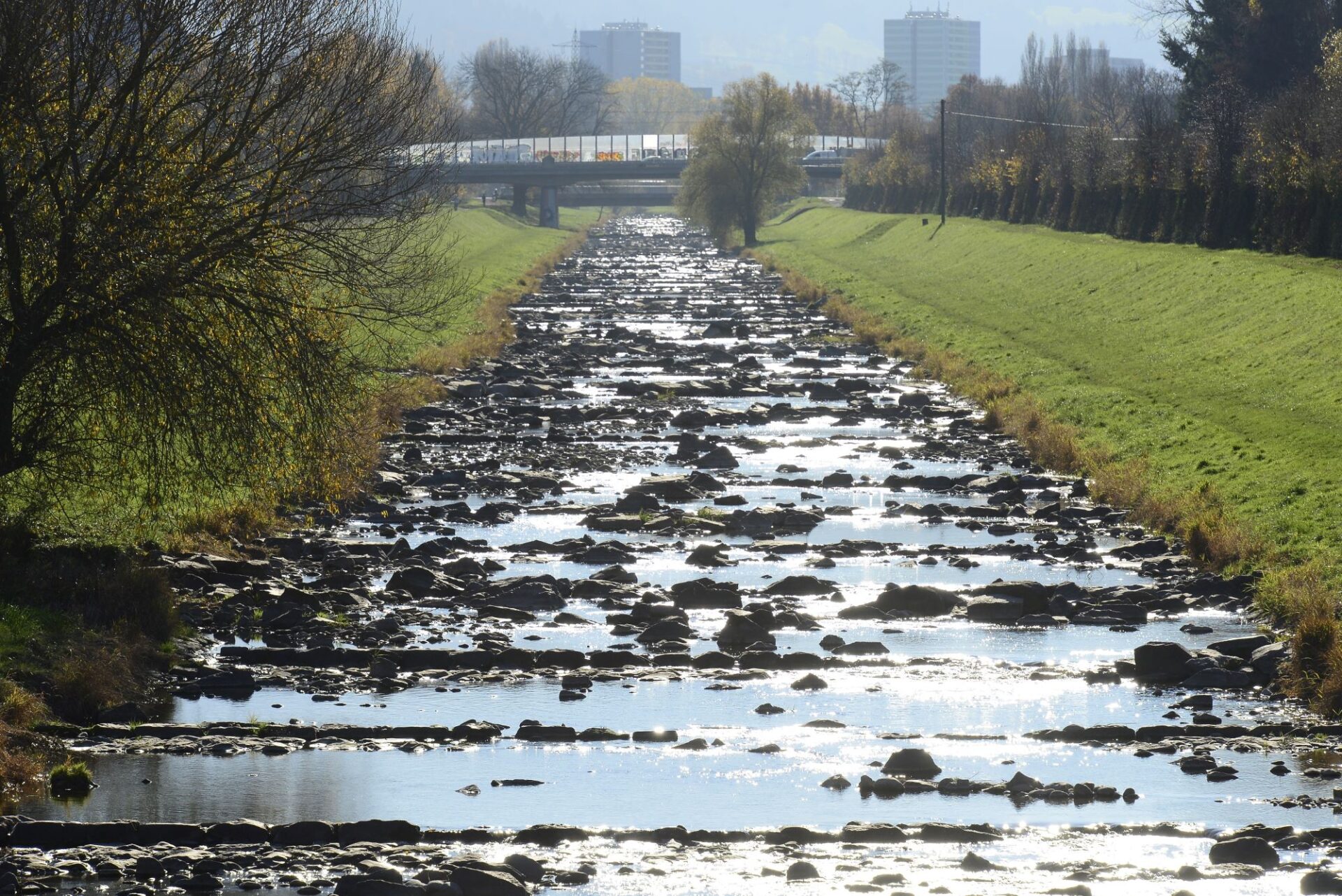 Dreisam führt wenig Wasser