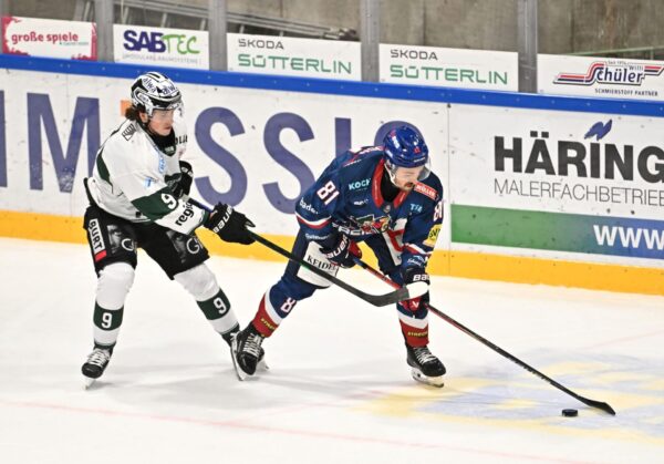 Echte Helden Arena DEL2, Eishockey, EHC Freiburg - Bietigheim Steelers,