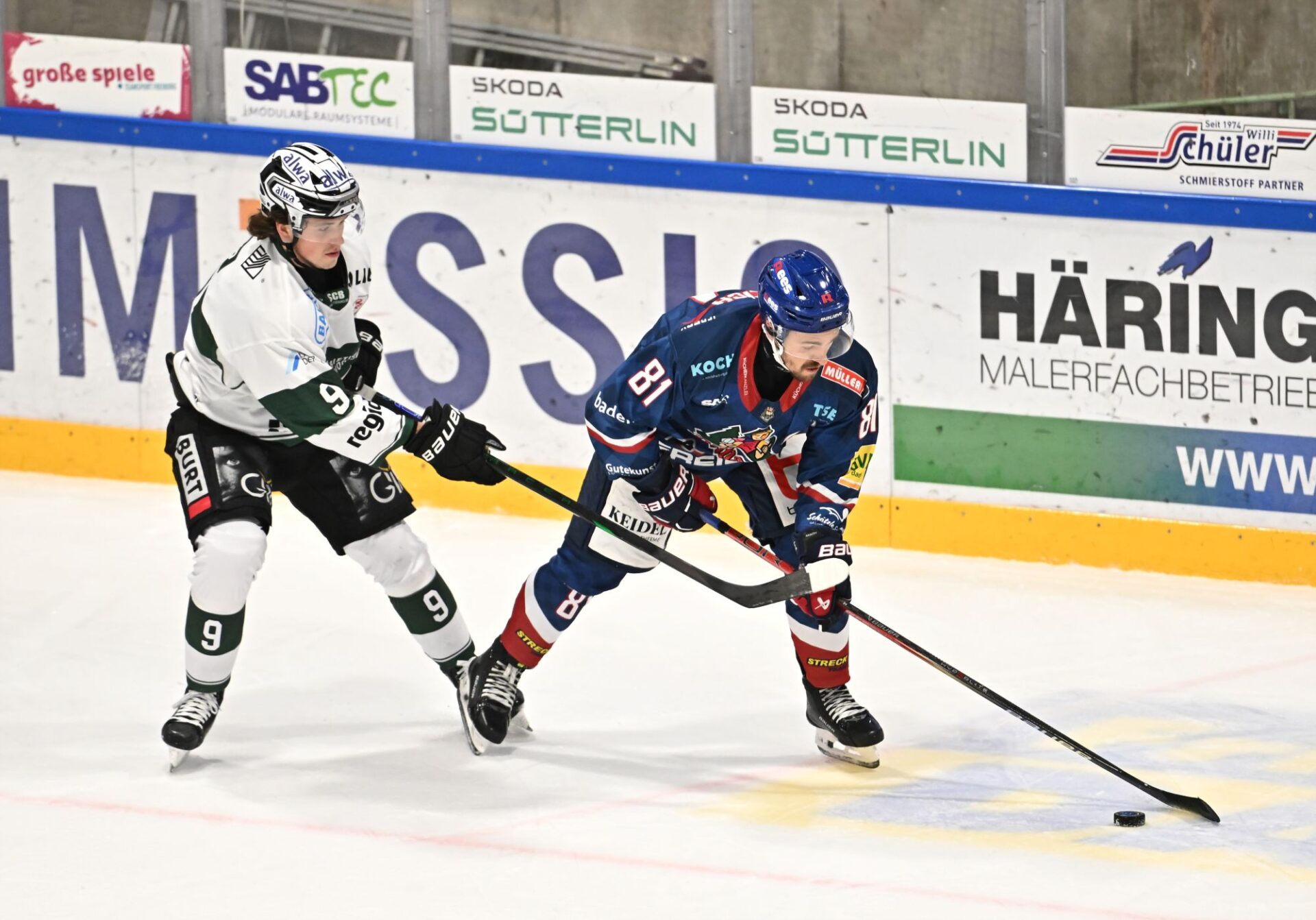 Echte Helden Arena DEL2, Eishockey, EHC Freiburg - Bietigheim Steelers,
