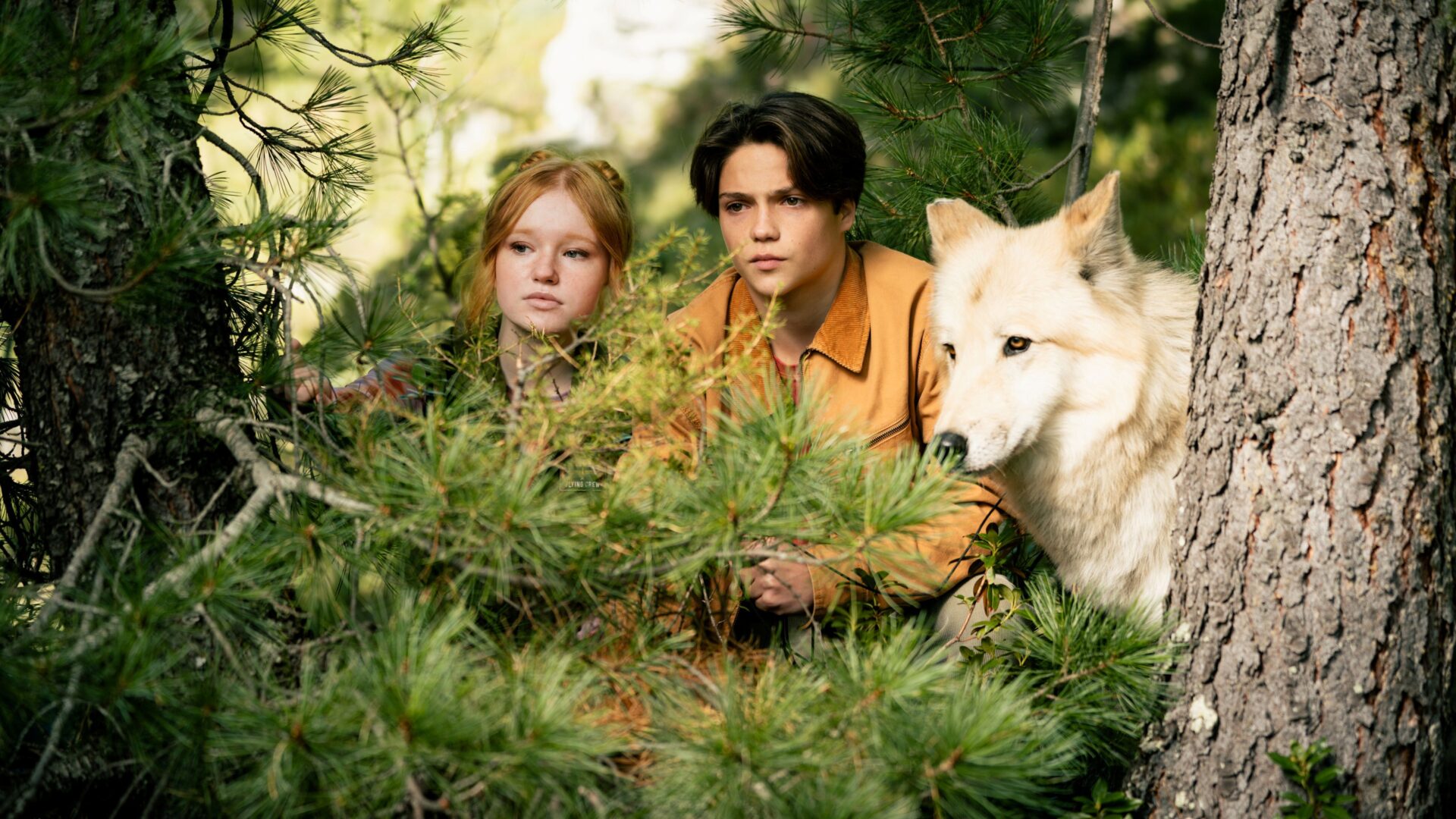 Puma-Wandler Carag (Emile Chérif), Rothörnchen-Wandlerin Holly (Lilli Falk) und Tikaani in ihrer Wolfsgestalt beobachten Andrew Milling bei seinen zwielichtigen Geschäften.