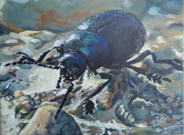 Bei der Ausstellung werden Malereien der vhs-Kursteilnehmer ausgestellt.