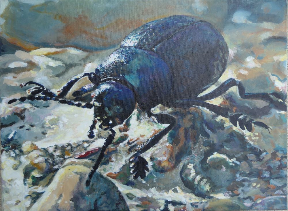 Bei der Ausstellung werden Malereien der vhs-Kursteilnehmer ausgestellt.