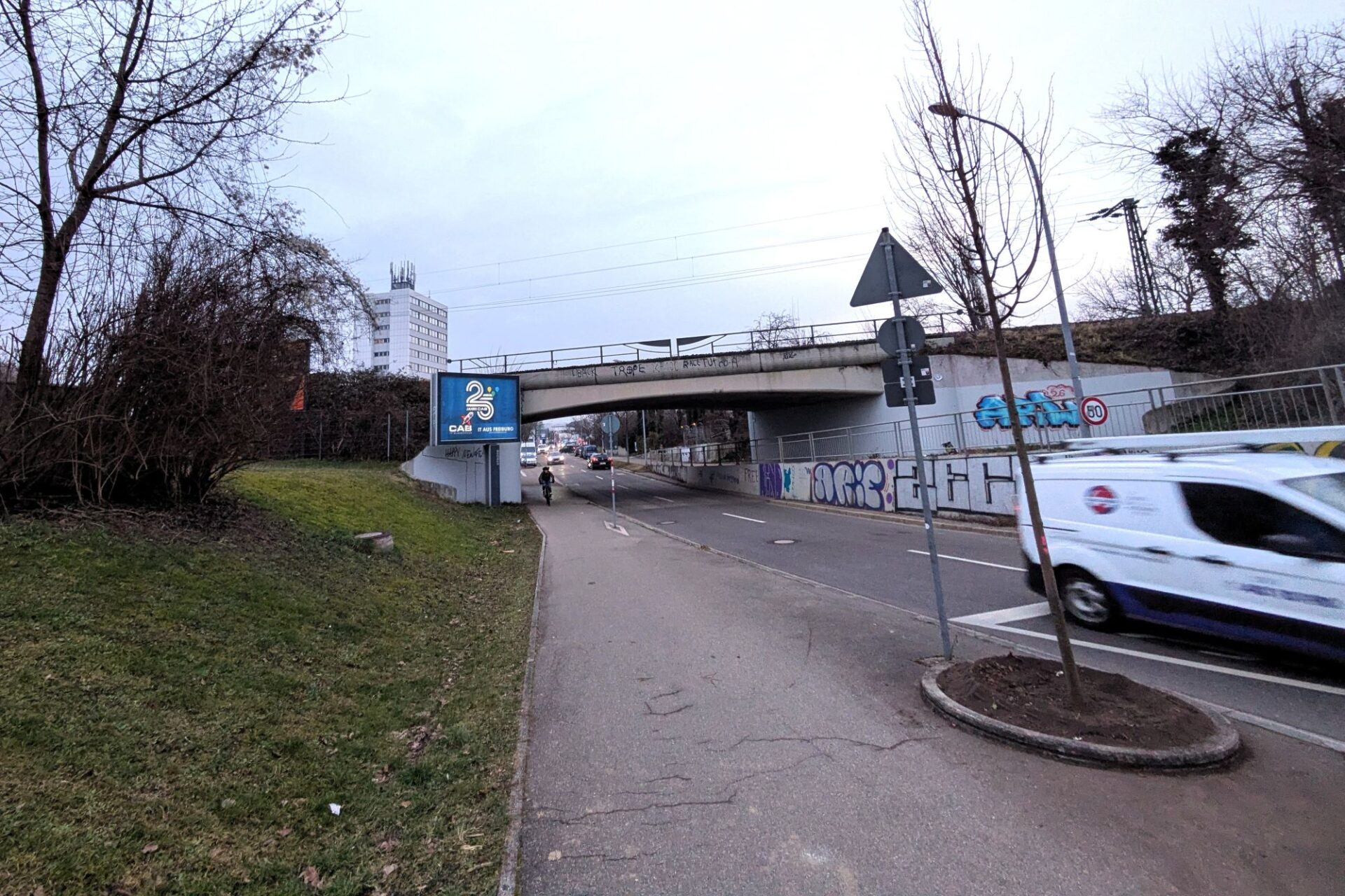 Baum Wiesentalstraße