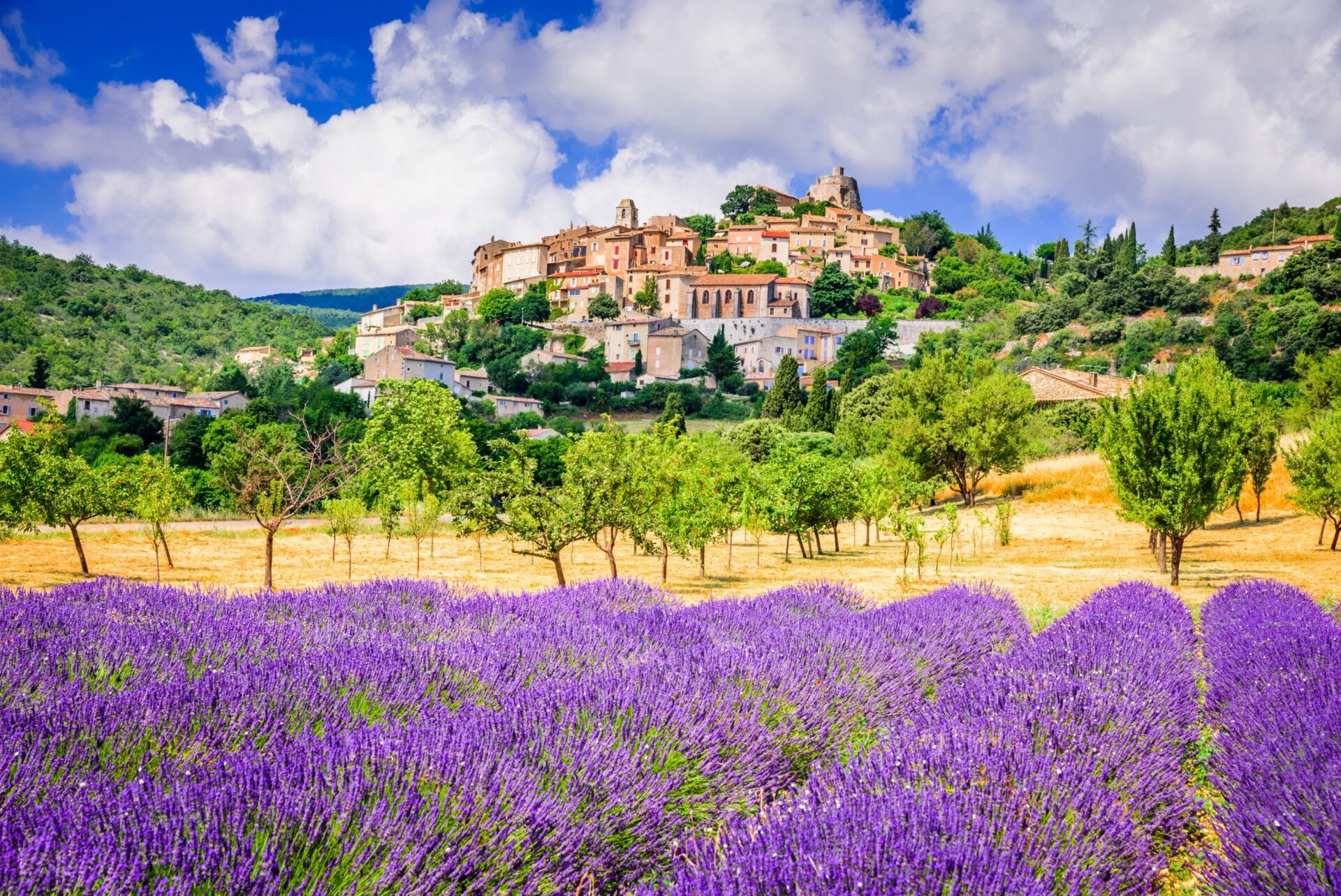 Blüten und Kräuter der Provence kann man beim Tagesworkshop kennenlernen. Foto: Adobe Stock