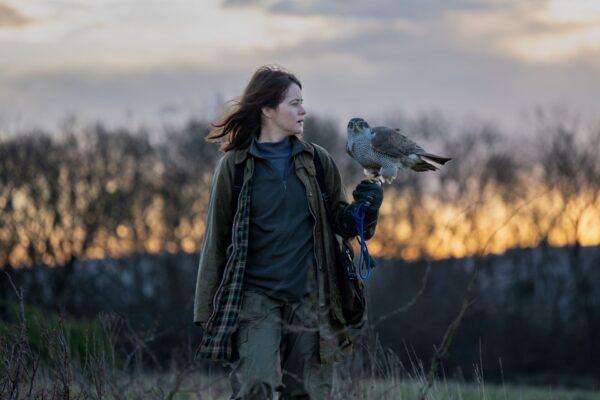 Helen (Claire Foy) will dem imposanten Habicht Mabel das Jagen und Fliegen beibringen.