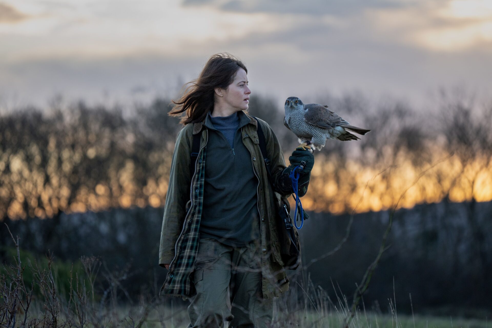 Helen (Claire Foy) will dem imposanten Habicht Mabel das Jagen und Fliegen beibringen.